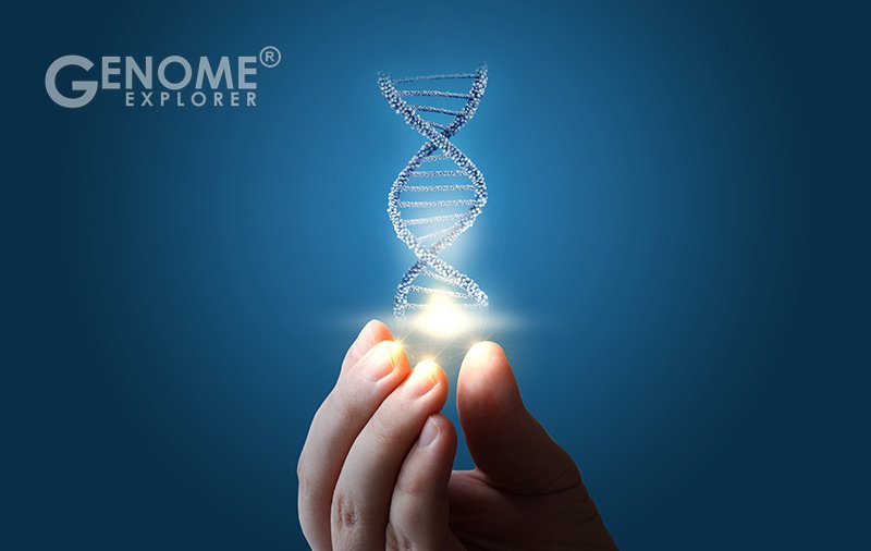 Genome International strategic relationship announcement graphic